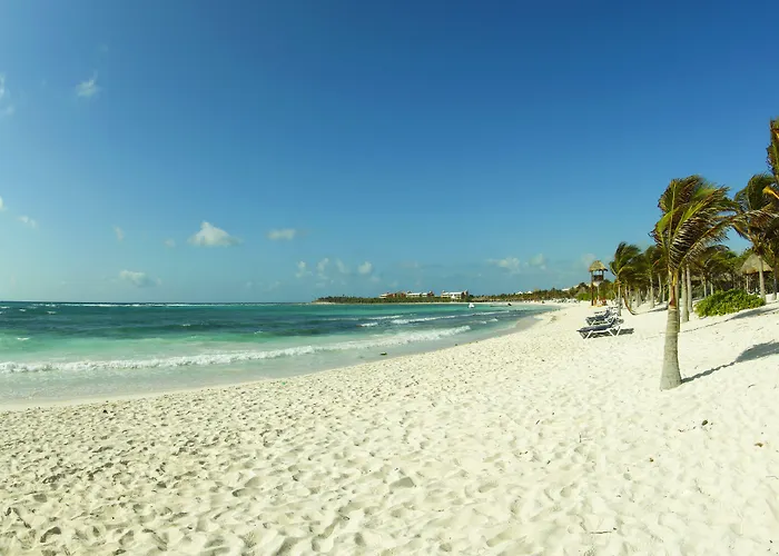 Grand Palladium Select White & 5*