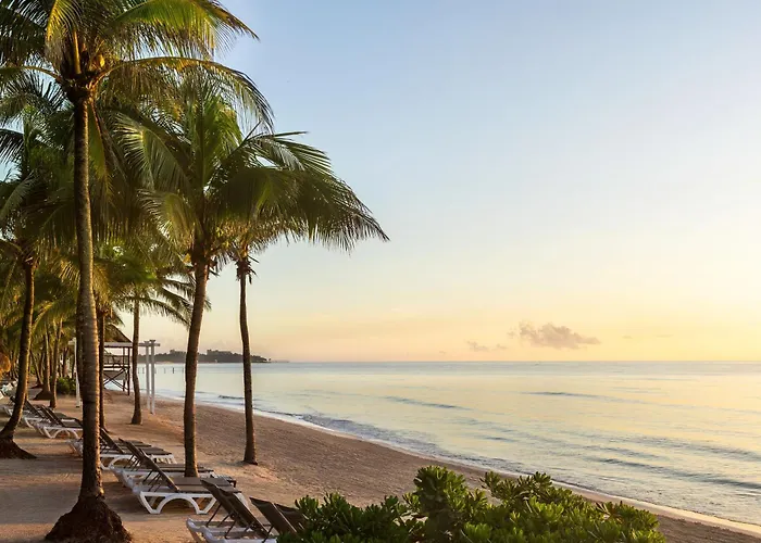 Resort Grand Palladium Select White & 5*