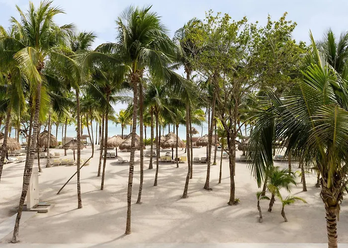 Grand Palladium Select White & Akumal